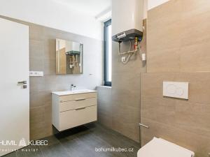 Pronájem bytu 1+kk, Veselí nad Lužnicí, Budějovická, 40 m2