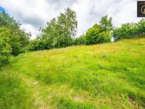 Prodej pozemku pro bydlení, Chlístovice - Kralice, 488 m2