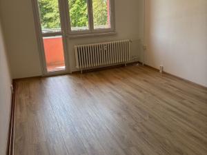 Pronájem bytu 2+1, Chodov, Boženy Němcové, 50 m2
