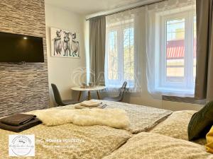 Prodej apartmánu, Zlaté Hory, Kostelní, 30 m2