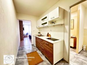 Prodej apartmánu, Zlaté Hory, Kostelní, 30 m2
