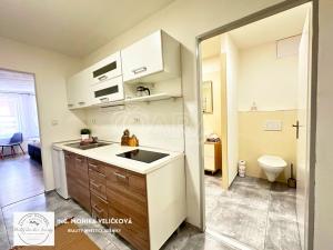 Prodej apartmánu, Zlaté Hory, Kostelní, 30 m2