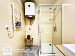 Prodej apartmánu, Zlaté Hory, Kostelní, 30 m2