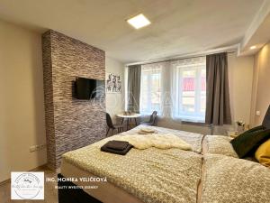 Prodej apartmánu, Zlaté Hory, Kostelní, 30 m2