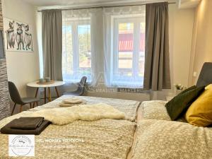 Prodej apartmánu, Zlaté Hory, Kostelní, 30 m2