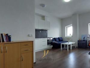 Pronájem bytu 1+kk, Brno - Královo Pole, Palackého třída, 42 m2