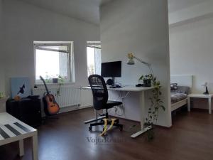 Pronájem bytu 1+kk, Brno - Královo Pole, Palackého třída, 42 m2