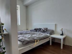 Pronájem bytu 1+kk, Brno - Královo Pole, Palackého třída, 42 m2