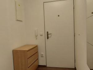 Pronájem bytu 1+kk, Brno - Královo Pole, Palackého třída, 42 m2