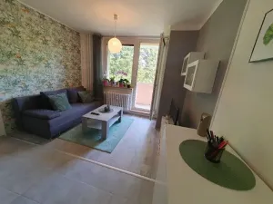 Pronájem bytu 1+1, Jihlava, Březinova, 42 m2