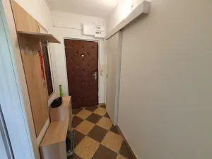 Pronájem bytu 1+1, Jihlava, Březinova, 42 m2