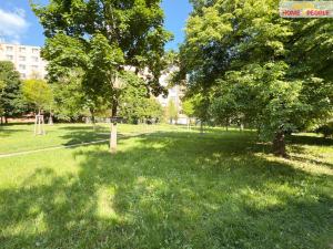 Prodej bytu 1+1, Brno - Židenice, Stará osada, 42 m2