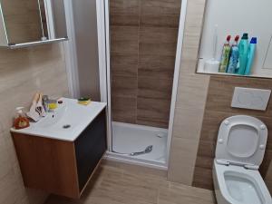 Pronájem bytu 2+kk, Zábřeh, Na Nové, 55 m2