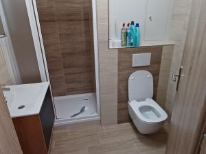 Pronájem bytu 2+kk, Zábřeh, Na Nové, 55 m2