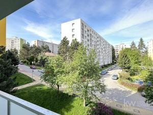 Pronájem bytu 3+1, Nová Paka, K Hájku, 67 m2
