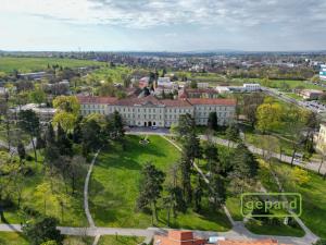 Pronájem bytu 5+kk, Brno, Slámova, 150 m2