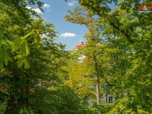 Prodej bytu 1+1, Karlovy Vary, Pražská silnice, 31 m2