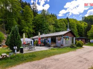 Prodej komerční nemovitosti, Záchlumí - Litice nad Orlicí, 16967 m2
