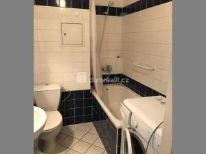 Pronájem bytu 1+kk, Praha - Libeň, Kurta Konráda, 30 m2