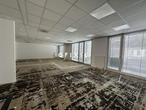 Pronájem obchodního prostoru, Brno, Milady Horákové, 277 m2
