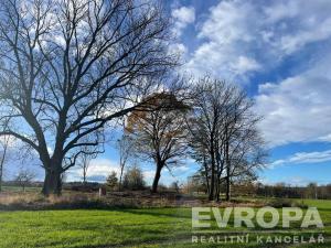 Prodej pozemku pro bydlení, Golčův Jeníkov, 1500 m2