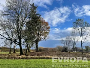 Prodej pozemku pro bydlení, Golčův Jeníkov, 1500 m2