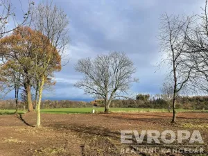 Prodej pozemku pro bydlení, Golčův Jeníkov, 1500 m2