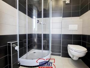 Pronájem bytu 2+1, České Budějovice - České Budějovice 2, 53 m2