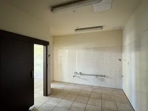 Pronájem obchodního prostoru, Brno, Holandská, 115 m2