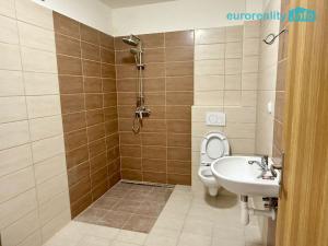 Pronájem bytu 2+kk, Tachov, Sokolovská, 57 m2