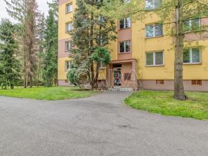 Prodej bytu 1+1, Kopřivnice, Francouzská, 38 m2