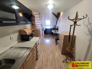 Pronájem bytu 1+kk, Židlochovice, 26 m2