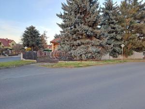 Pronájem rodinného domu, Nelahozeves, Nová, 102 m2