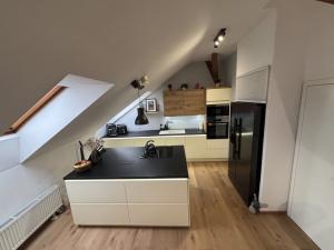 Pronájem bytu 4+kk, Pardubice - Zelené Předměstí, Josefa Ressla, 115 m2