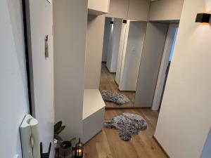 Pronájem bytu 4+kk, Pardubice - Zelené Předměstí, Josefa Ressla, 115 m2