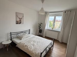 Pronájem bytu 4+kk, Pardubice - Zelené Předměstí, Josefa Ressla, 115 m2