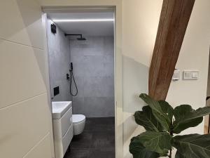 Pronájem bytu 4+kk, Pardubice - Zelené Předměstí, Josefa Ressla, 115 m2