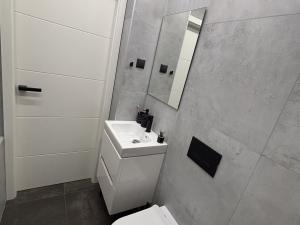 Pronájem bytu 4+kk, Pardubice - Zelené Předměstí, Josefa Ressla, 115 m2