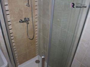 Pronájem bytu 2+1, Karlovy Vary, K. Čapka, 56 m2