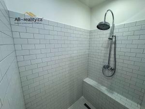 Pronájem bytu 3+1, Teplice, Ruská, 105 m2