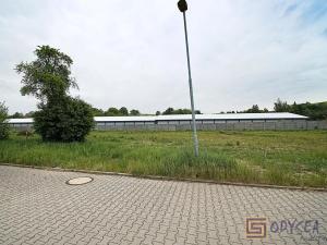 Prodej pozemku pro bydlení, Velké Albrechtice, 1285 m2