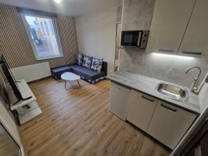 Pronájem bytu 1+kk, Ostrava - Moravská Ostrava, Žofinská, 27 m2