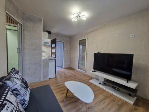 Pronájem bytu 1+kk, Ostrava - Moravská Ostrava, Žofinská, 27 m2