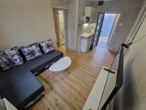 Pronájem bytu 1+kk, Ostrava - Moravská Ostrava, Žofinská, 27 m2