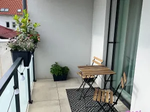 Pronájem bytu 1+kk, České Budějovice, Chelčického, 47 m2