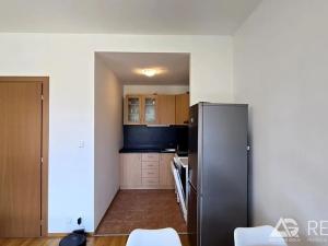 Pronájem bytu 2+kk, Praha - Dejvice, Paťanka, 70 m2