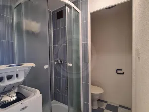 Pronájem bytu 1+kk, České Budějovice, Dobrovodská, 21 m2