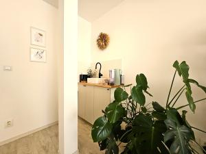 Pronájem kanceláře, Brno, Masarykova, 23 m2
