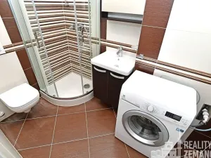 Pronájem bytu 1+kk, Praha - Vinohrady, Řipská, 24 m2