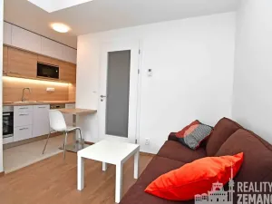 Pronájem bytu 1+kk, Praha - Vinohrady, Řipská, 24 m2